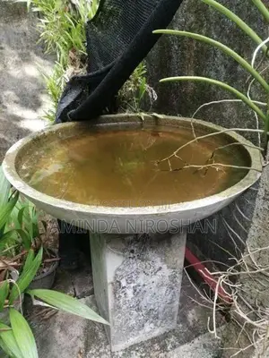 concrete flower pond