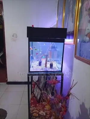 Fish Tank