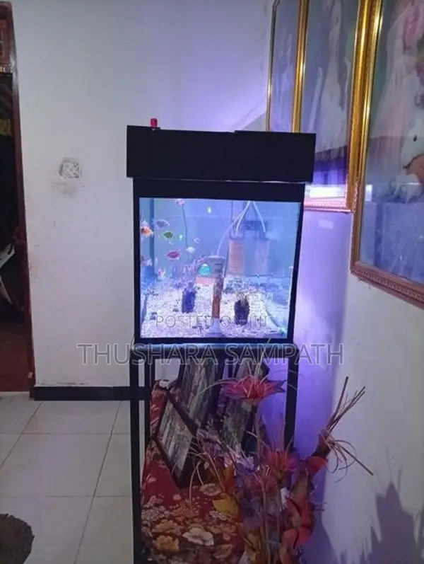 Fish Tank
