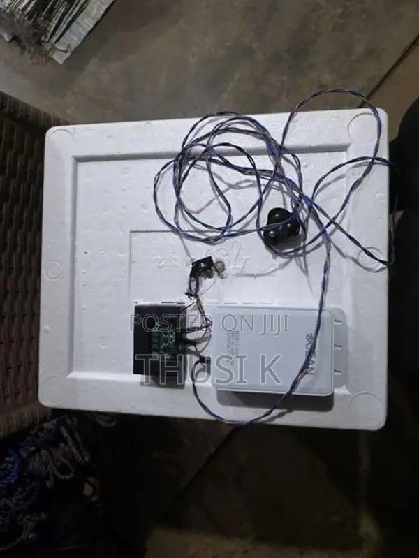 Egg Incubator