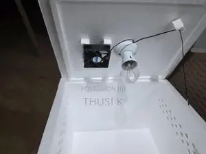 Egg Incubator