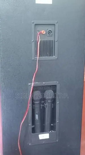 Olan Professional Audio System