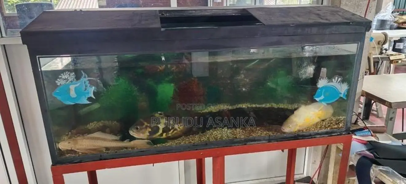 Fish Tank
