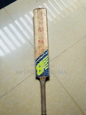 Leather Bat