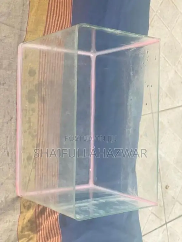 Fish Tank
