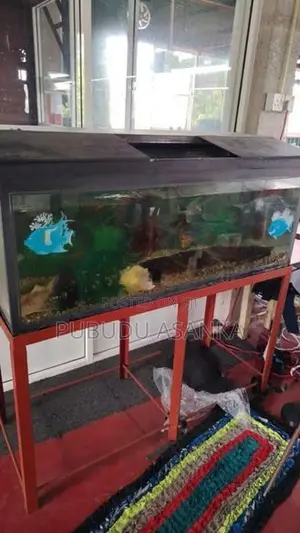 Fish Tank