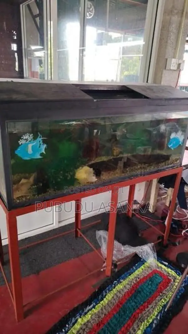 Fish Tank