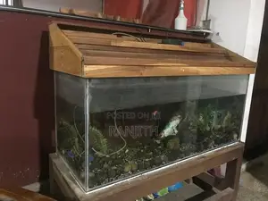 Fish Tank