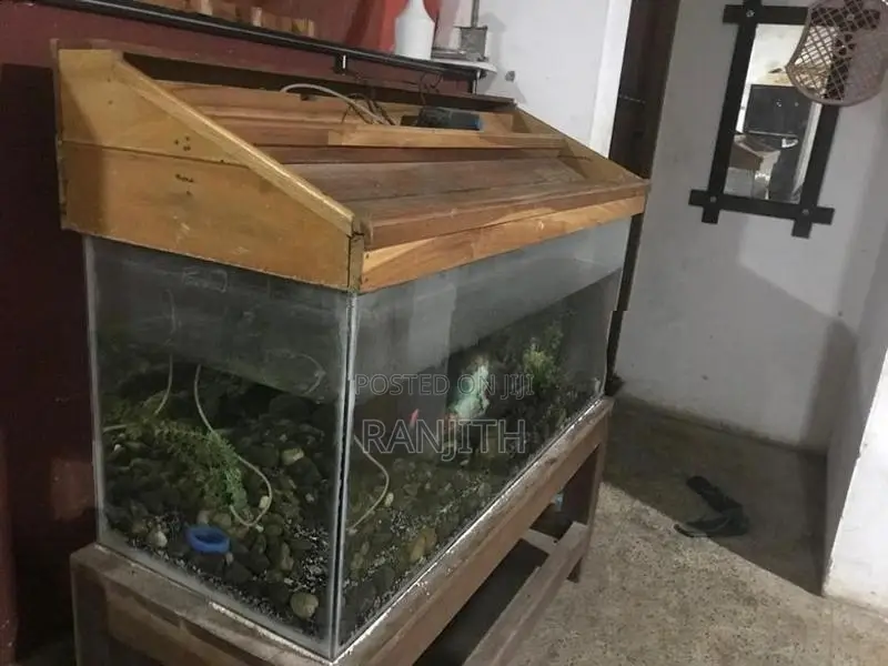 Fish Tank