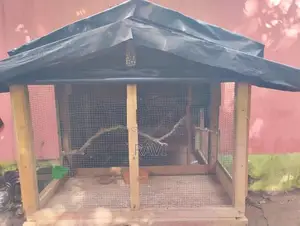 කුරුලු කූඩුව