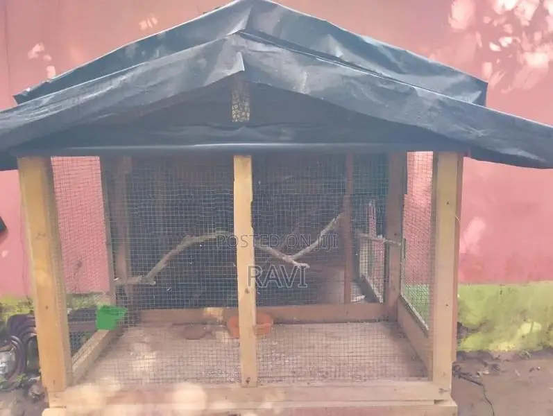 කුරුලු කූඩුව