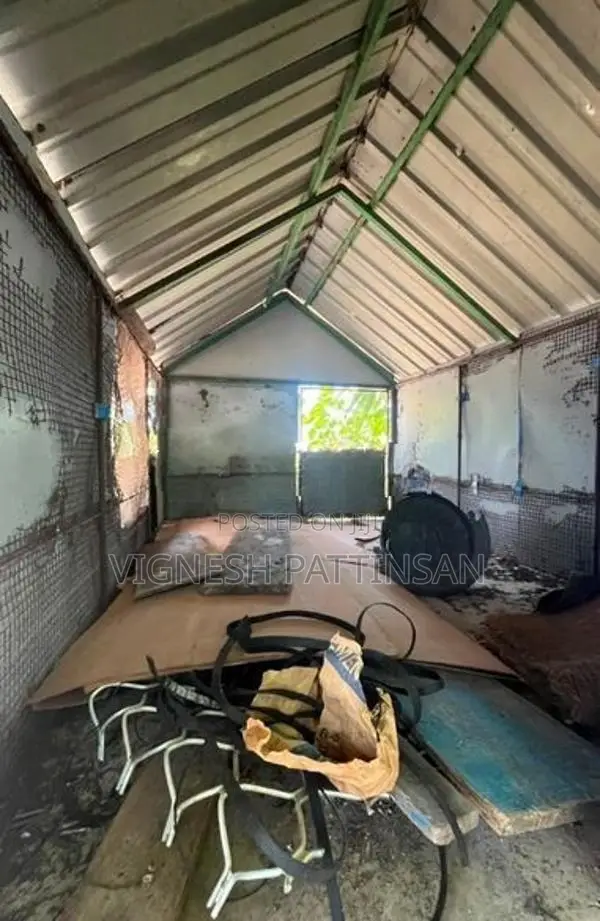 Dog Cage