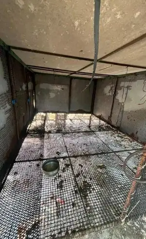 Dog Cage