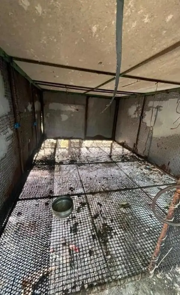 Dog Cage