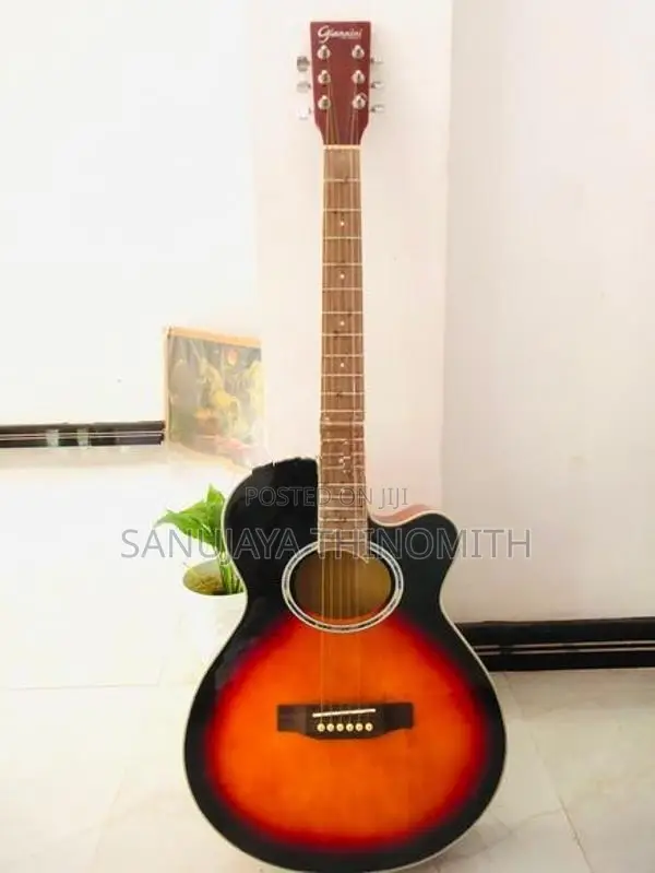 Guitar