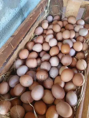 முட்டை