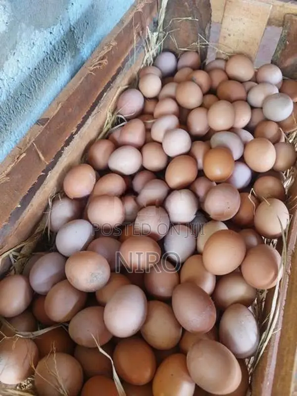 முட்டை