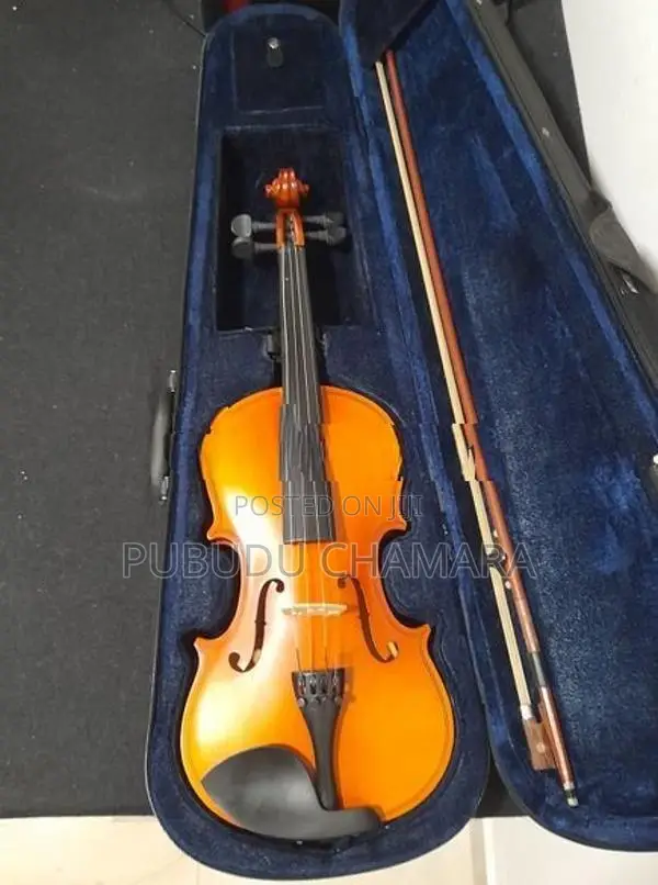 Violin ( Brand - Lark)