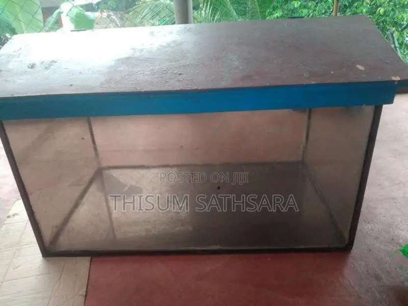 fish tank