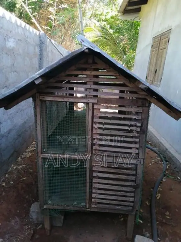கோழி கூடு
