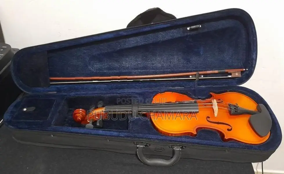Violin ( Brand - Lark)