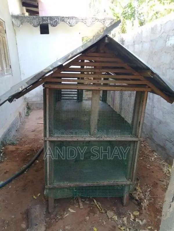 கோழி கூடு