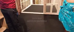 Floor Carpet