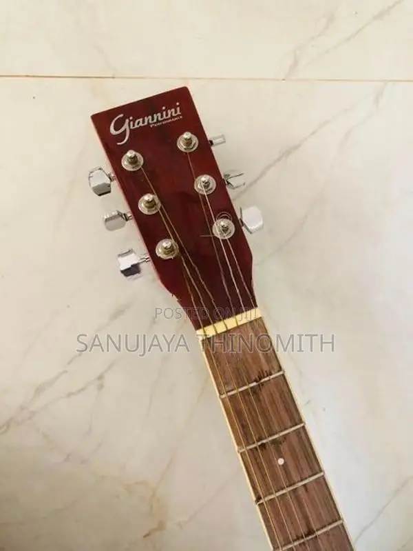 Guitar