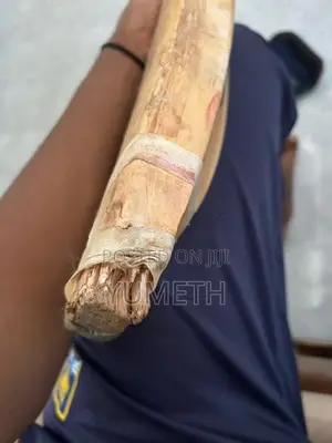 cricket bat