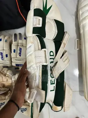 cricket set
