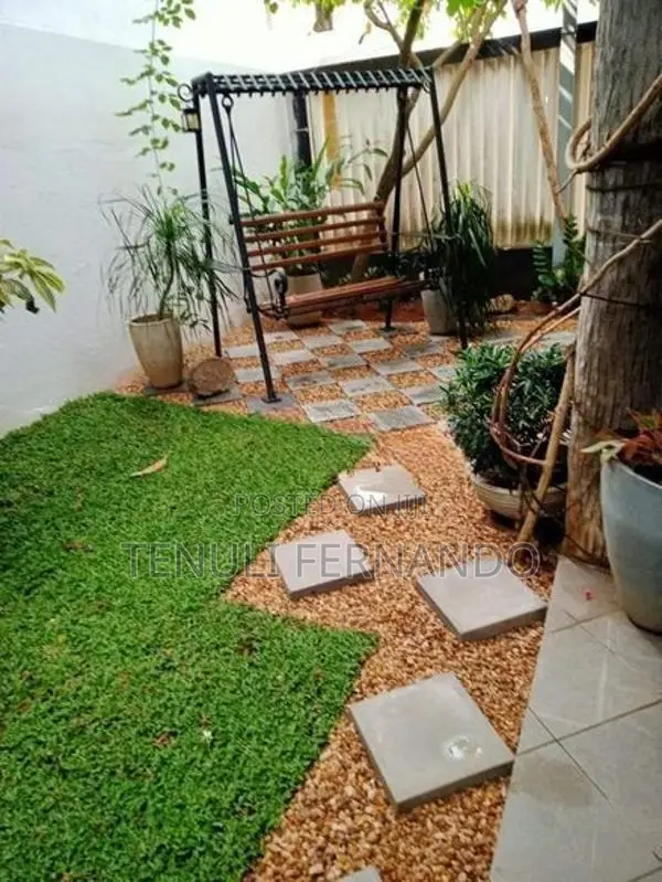 Malaysian Grass