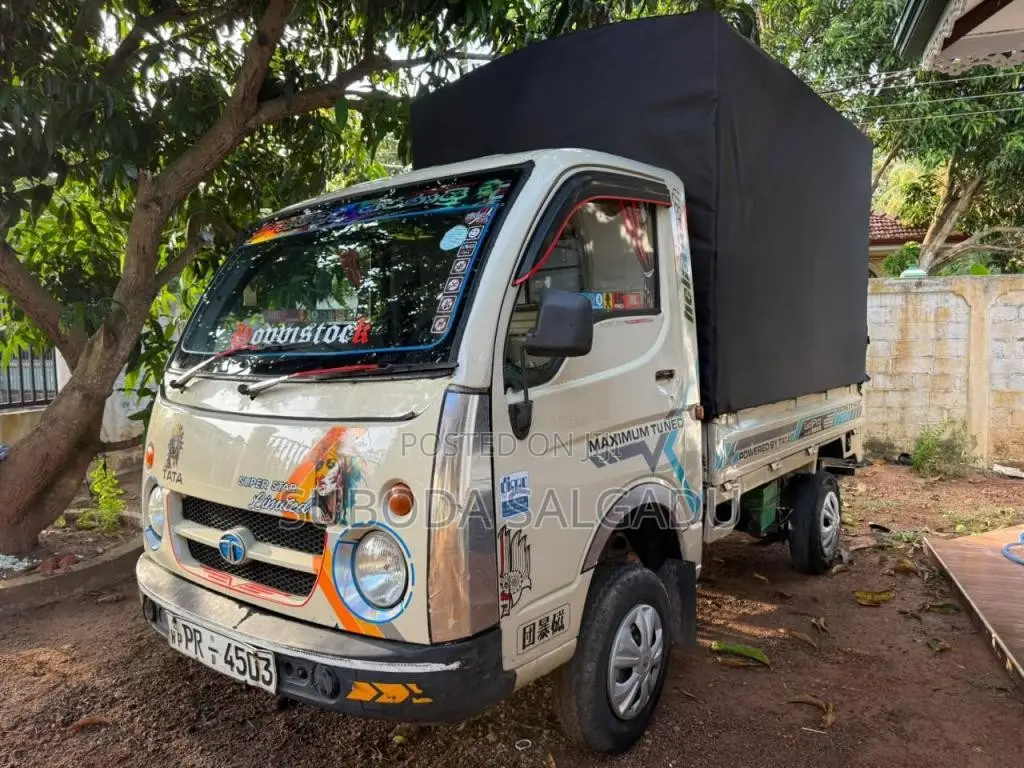 Tata Dimo Batta 2011 Lorry (Used)