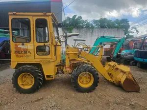 Mitsubishi Ws300 2015 Heavy-Duty (Used)