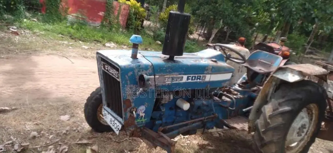 Ford 3600 1979 Tractor (Used)