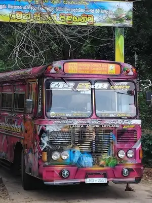 Ashok-Leyland Viking 2018 Bus (Used)