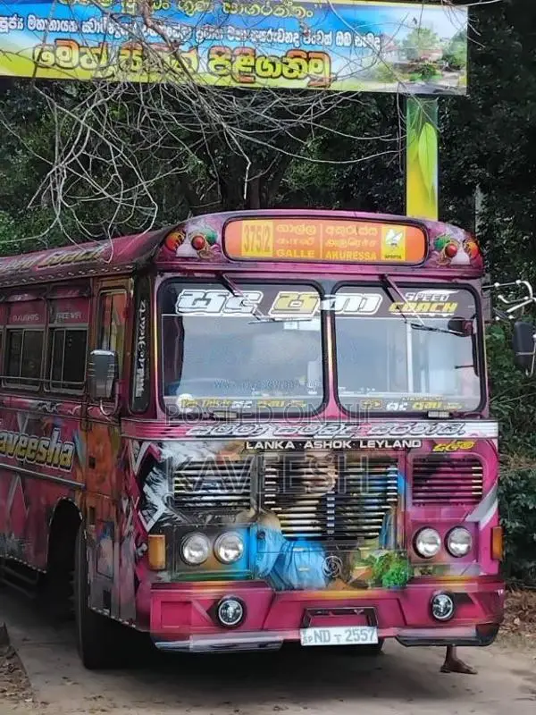 Ashok-Leyland Viking 2018 Bus (Used)