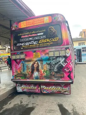 Ashok-Leyland Viking 2018 Bus (Used)