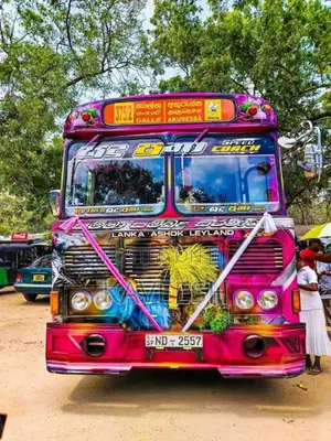 Ashok-Leyland Viking 2018 Bus (Used)