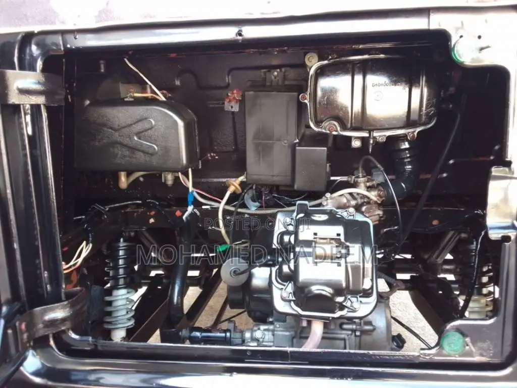 TVS King 2011 Three Wheel (Used)