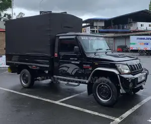 Mahindra Bolero 2019 Pickup (Used)