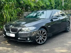 BMW 520D 2014 Car (Used)