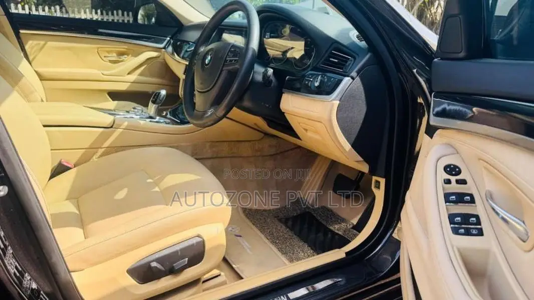 BMW 520D 2014 Car (Used)