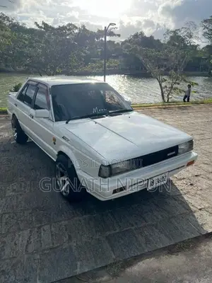 Nissan Trad Sunny 1989 Car (Used)