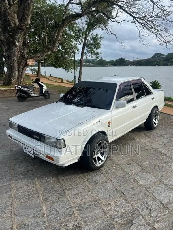 Nissan Trad Sunny 1989 Car (Used)
