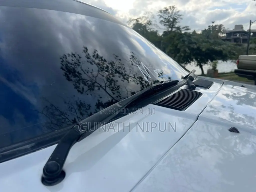 Nissan Trad Sunny 1989 Car (Used)