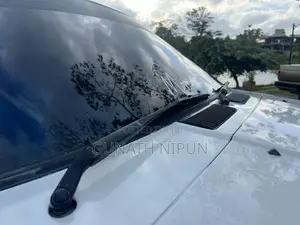 Nissan Trad Sunny 1989 Car (Used)