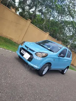 Suzuki Alto 2013 Car (Used)