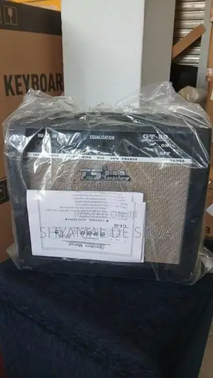 Guitar Back Amplifier