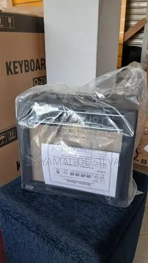 Guitar Back Amplifier