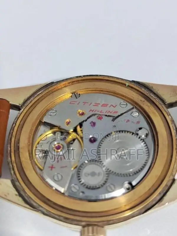 Citizen Watch